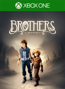 Brothers a tale of wo sons cover